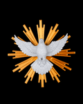 Dove of Piece