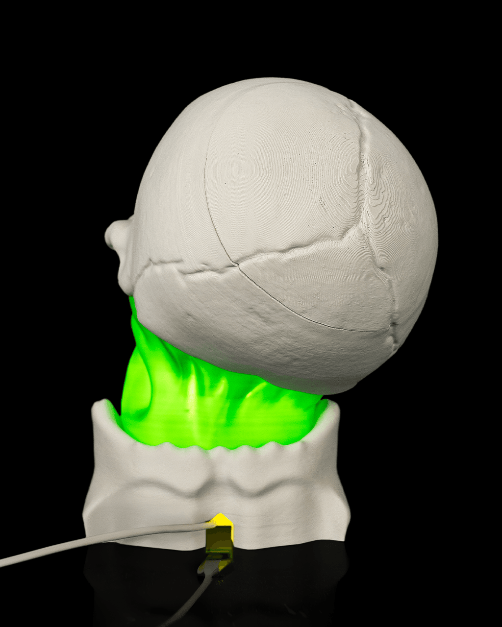 Skull Gut Light-Up Table Lamp