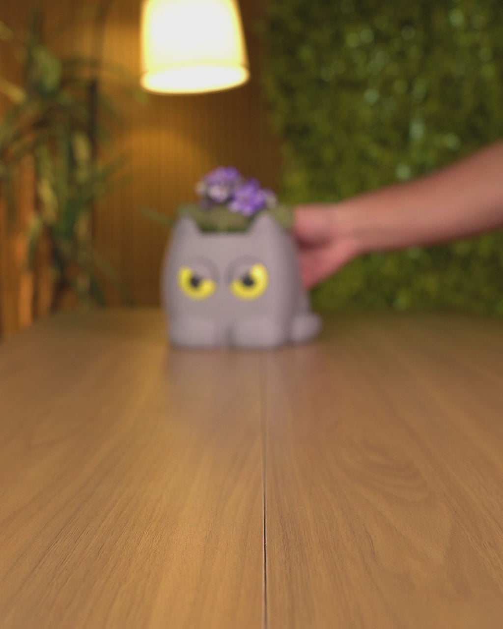 Gumpy Kitty Planter